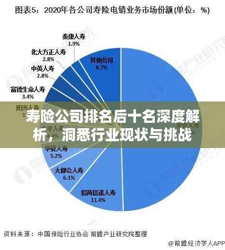 寿险公司排名后十名深度解析,洞悉行业现状与挑战