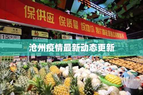沧州疫情最新动态更新