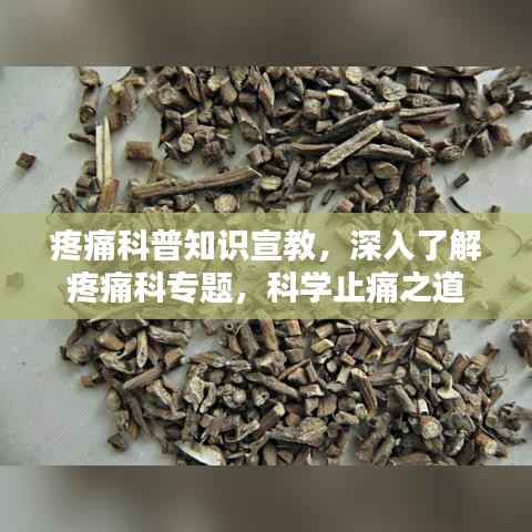 全始全终 第5页