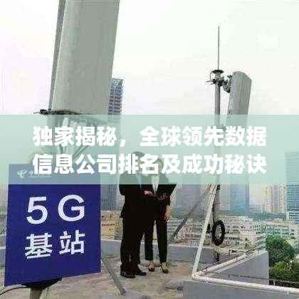 独家揭秘，全球领先数据信息公司排名及成功秘诀！
