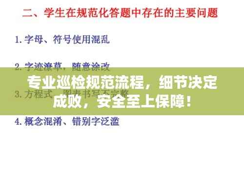 专业巡检规范流程，细节决定成败，安全至上保障！