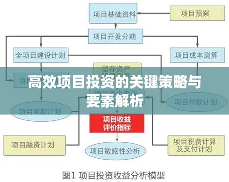高效项目投资的关键策略与要素解析