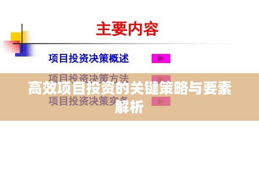 高效项目投资的关键策略与要素解析