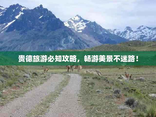贵德旅游必知攻略,畅游美景不迷路!