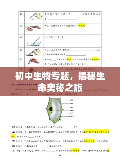 初中生物专题,揭秘生命奥秘之旅