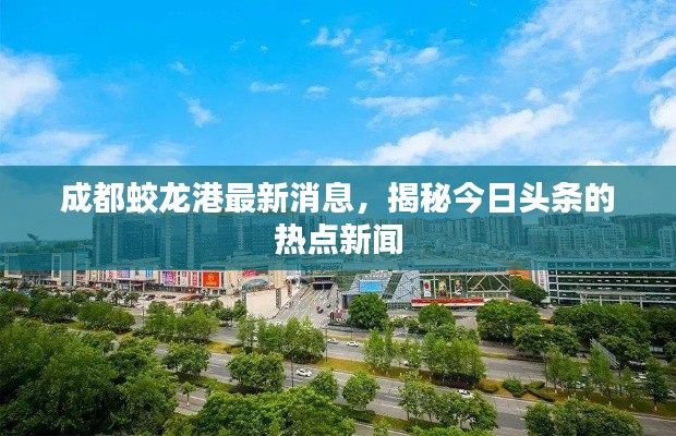 成都蛟龙港最新消息，揭秘今日头条的热点新闻
