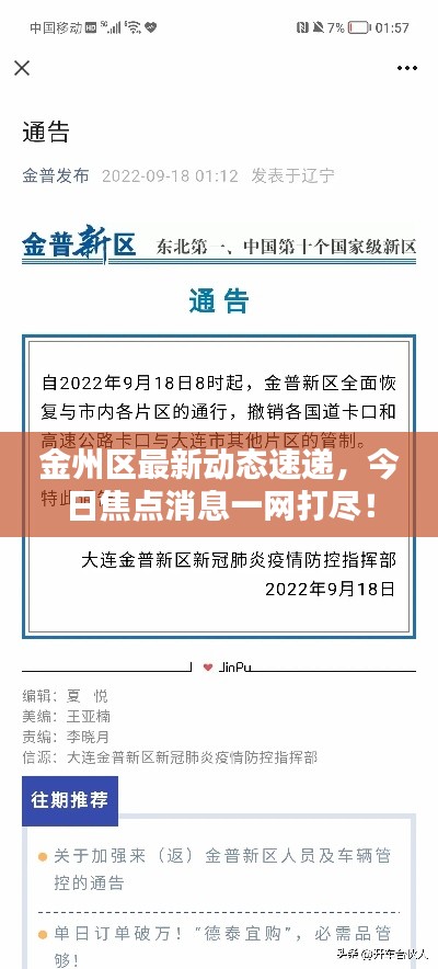 金州区最新动态速递，今日焦点消息一网打尽！
