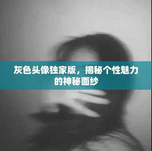 灰色头像独家版，揭秘个性魅力的神秘面纱