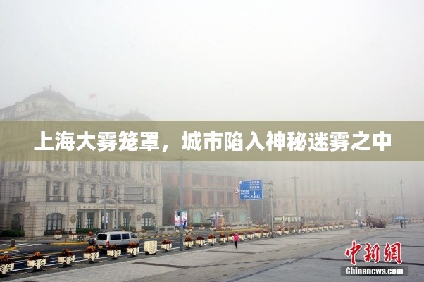 上海大雾笼罩，城市陷入神秘迷雾之中