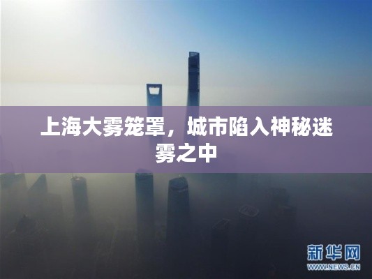 上海大雾笼罩,城市陷入神秘迷雾之中