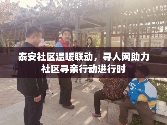 泰安社区温暖联动，寻人网助力社区寻亲行动进行时