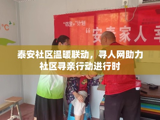 泰安社区温暖联动,寻人网助力社区寻亲行动进行时