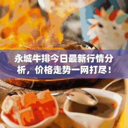 永城牛排今日最新行情分析，价格走势一网打尽！