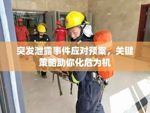 突发泄露事件应对预案,关键策略助你化危为机