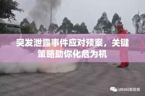 突发泄露事件应对预案,关键策略助你化危为机