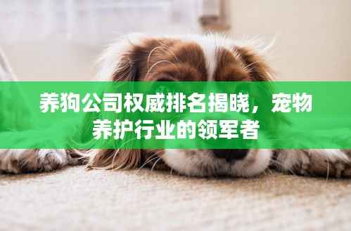 养狗公司权威排名揭晓，宠物养护行业的领军者
