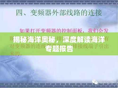 揭秘海洋奥秘，深度解读海洋专题报告