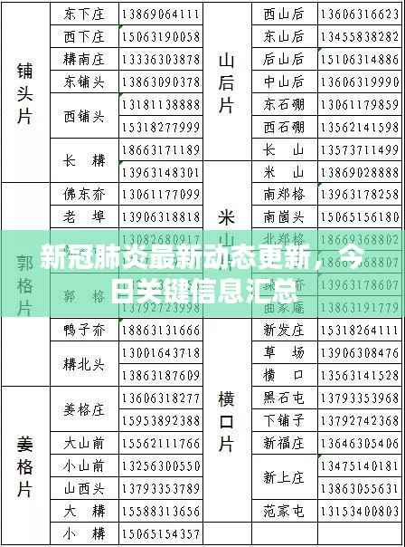 新冠肺炎最新动态更新，今日关键信息汇总