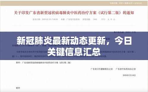 新冠肺炎最新动态更新,今日关键信息汇总