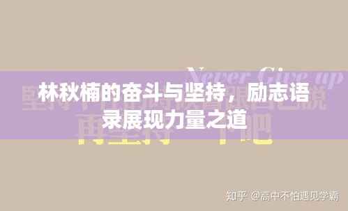 林秋楠的奋斗与坚持，励志语录展现力量之道