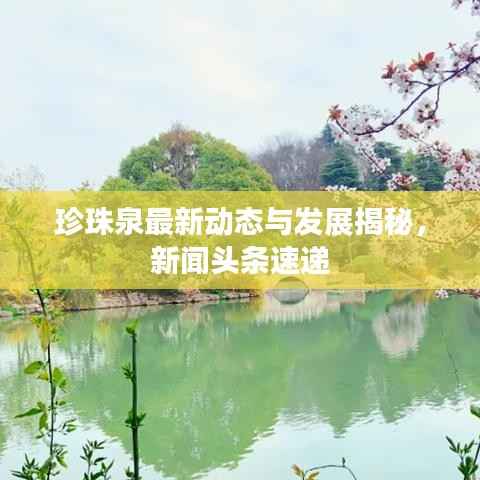 珍珠泉最新动态与发展揭秘，新闻头条速递