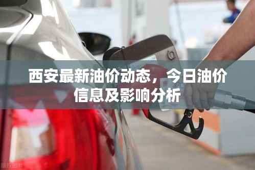 西安最新油价动态,今日油价信息及影响分析