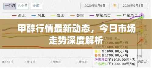 甲醇行情最新动态，今日市场走势深度解析