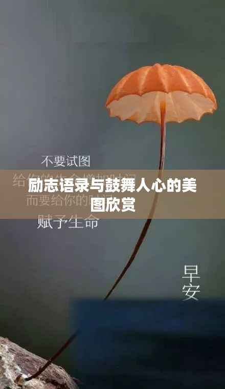 励志语录与鼓舞人心的美图欣赏