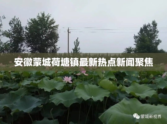 安徽蒙城荷塘镇最新热点新闻聚焦