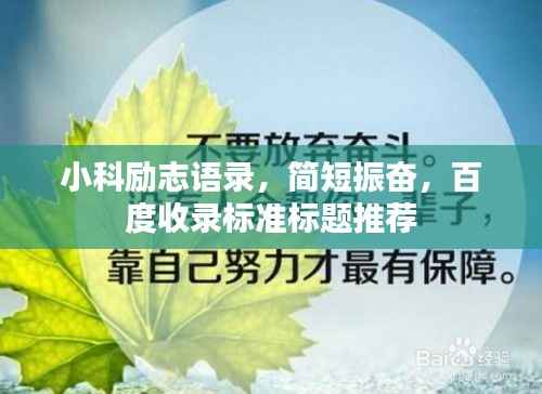 小科励志语录，简短振奋，百度收录标准标题推荐