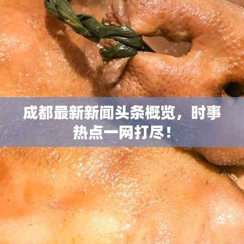 成都最新新闻头条概览,时事热点一网打尽!