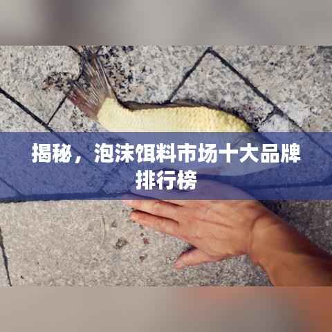 揭秘，泡沫饵料市场十大品牌排行榜