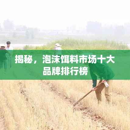 揭秘,泡沫饵料市场十大品牌排行榜