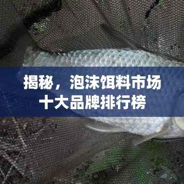 揭秘,泡沫饵料市场十大品牌排行榜