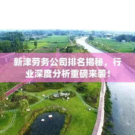 新津劳务公司排名揭秘，行业深度分析重磅来袭！