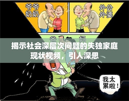揭示社会深层次问题的失独家庭现状视频，引人深思