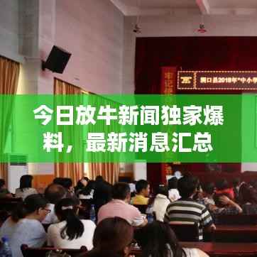 今日放牛新闻独家爆料，最新消息汇总