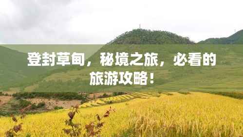 射飞逐走 第3页