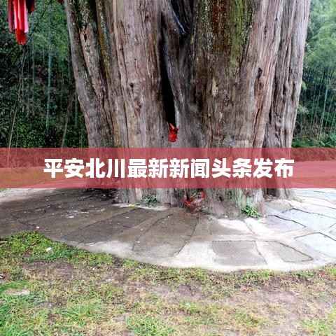 平安北川最新新闻头条发布
