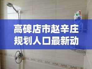 高碑店市赵辛庄规划人口最新动态解析