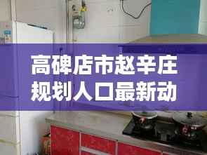 高碑店市赵辛庄规划人口最新动态解析
