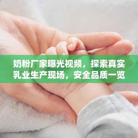 奶粉厂家曝光视频，探索真实乳业生产现场，安全品质一览无遗