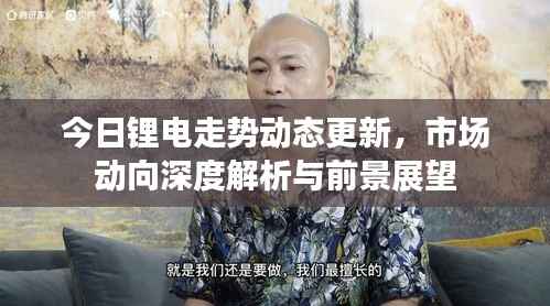 今日锂电走势动态更新，市场动向深度解析与前景展望
