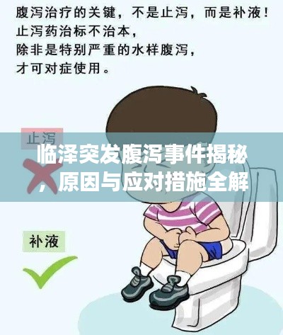 临泽突发腹泻事件揭秘，原因与应对措施全解析