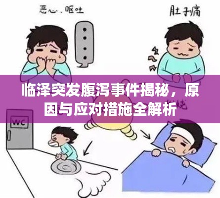 临泽突发腹泻事件揭秘,原因与应对措施全解析