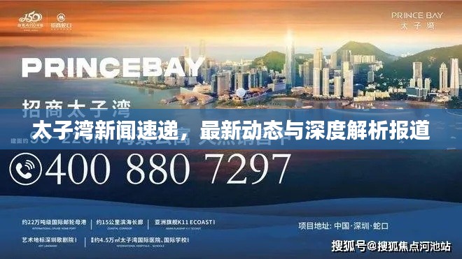 太子湾新闻速递，最新动态与深度解析报道