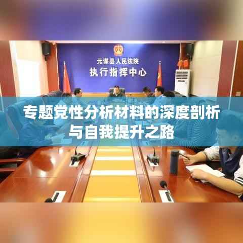 专题党性分析材料的深度剖析与自我提升之路