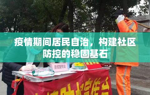 疫情期间居民自治，构建社区防控的稳固基石