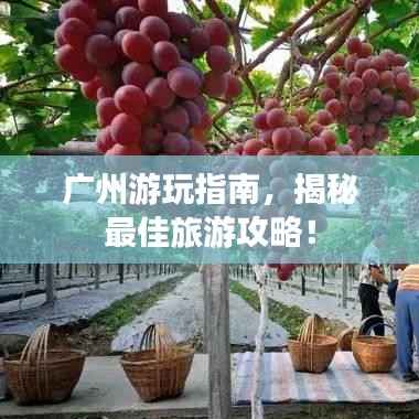 广州游玩指南，揭秘最佳旅游攻略！