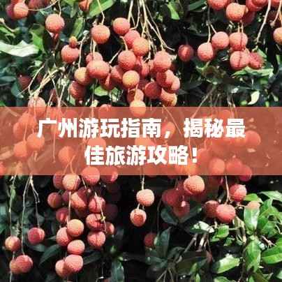 广州游玩指南,揭秘最佳旅游攻略!